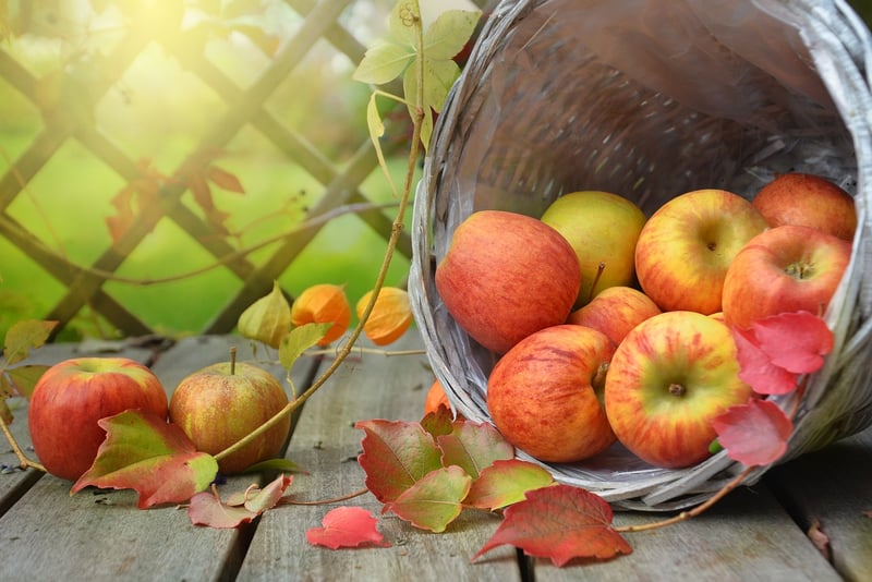 Seasonal Displays